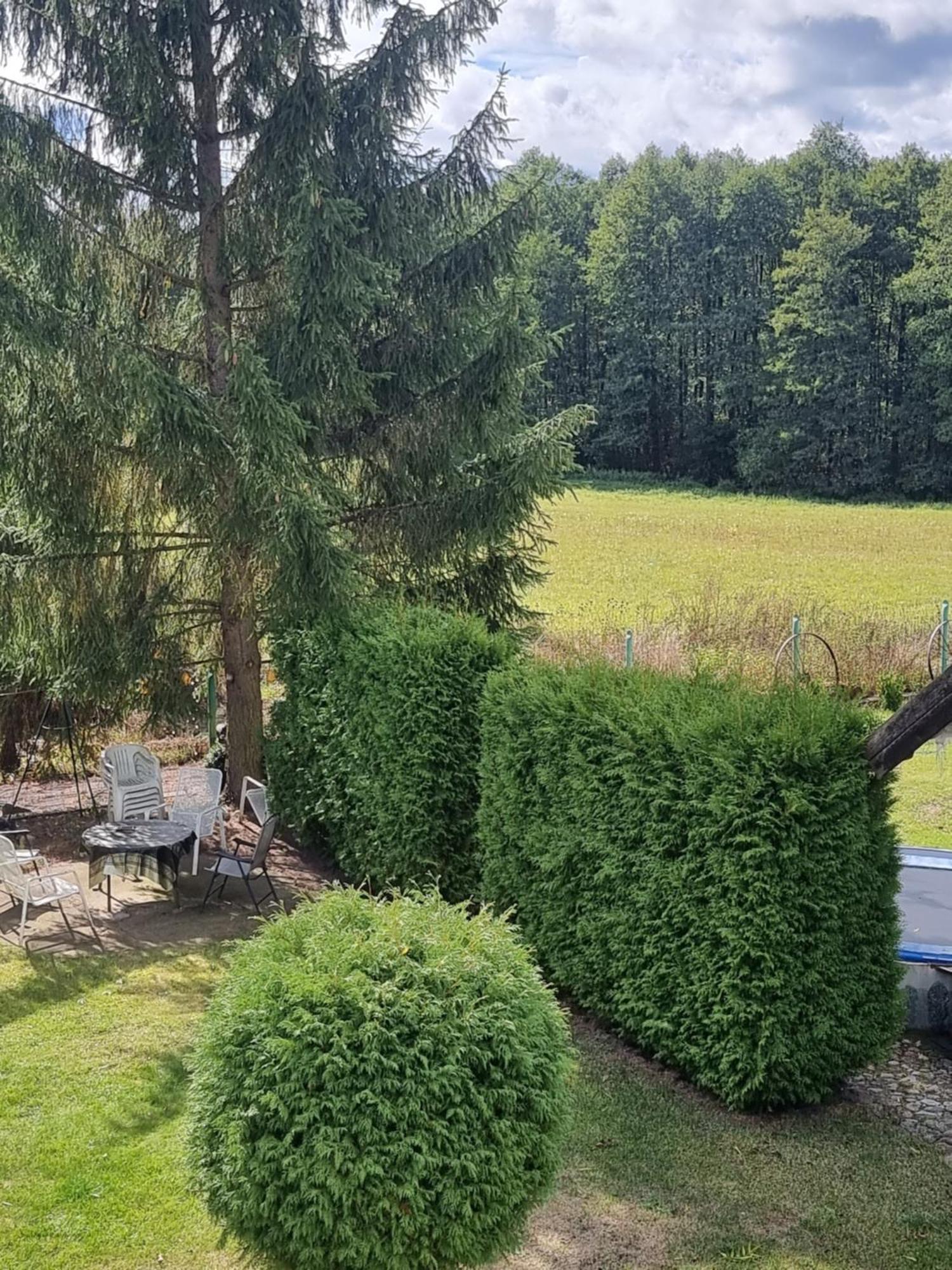 Agroturystyka Nienasycenie Brzezno Lynskie Exteriör bild