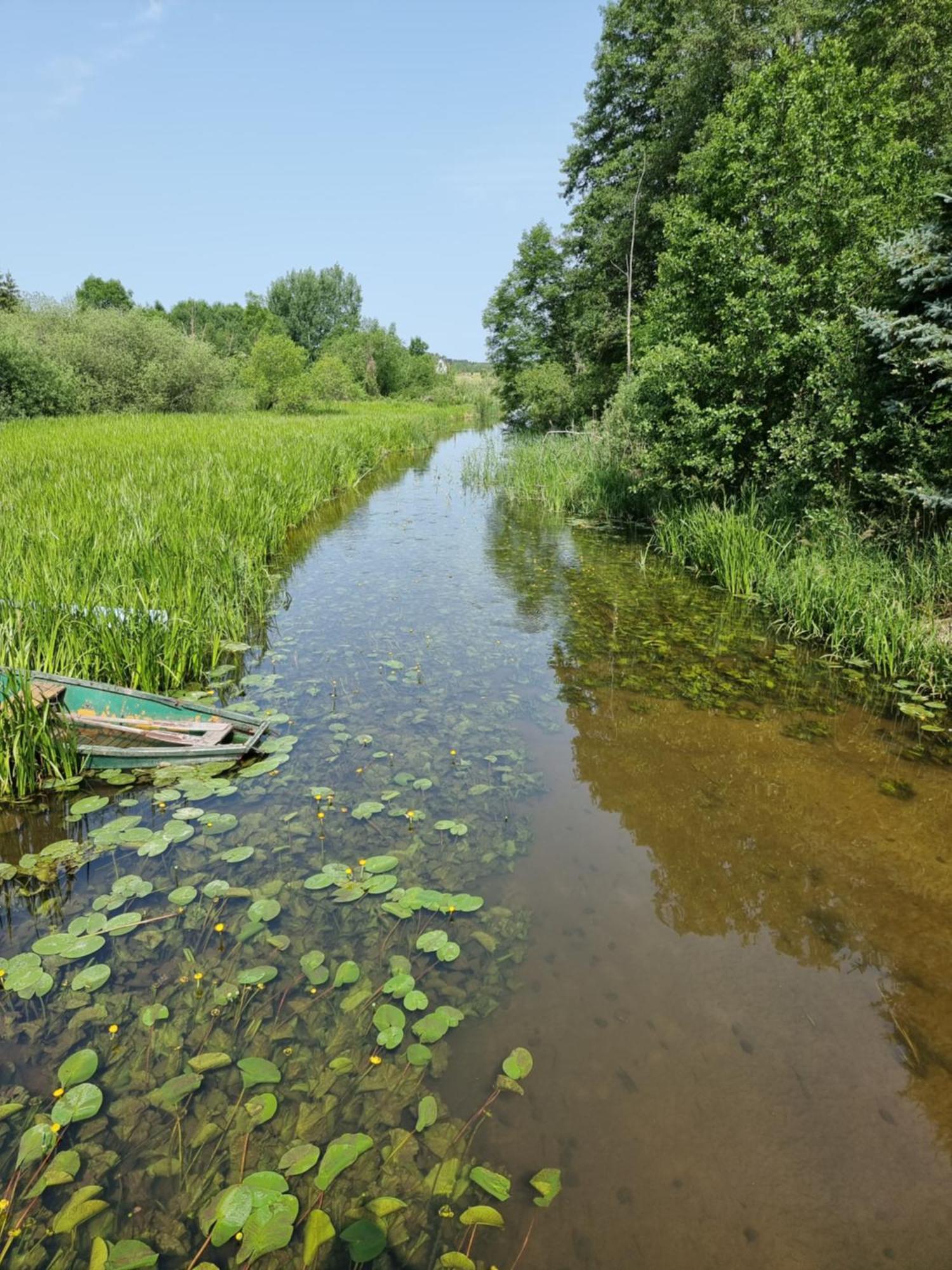 Agroturystyka Nienasycenie Brzezno Lynskie Exteriör bild